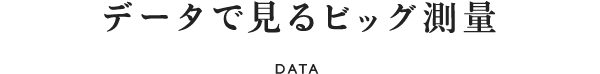 データで見るビッグ測量