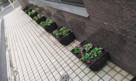 【園芸活動】プランター植え付け