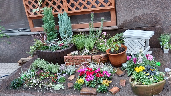 園芸活動 花壇が秋冬バージョンになりました ビッグ測量設計株式会社