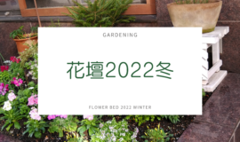 【園芸活動】2022冬の花壇